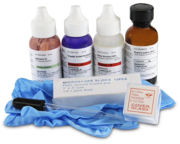 Gram Stain Kit, Safranin O (15 mL), Crystal Violet (15 mL), Gram's Iodine (15 mL), 95% Ethyl Alcohol (30 mL), Each