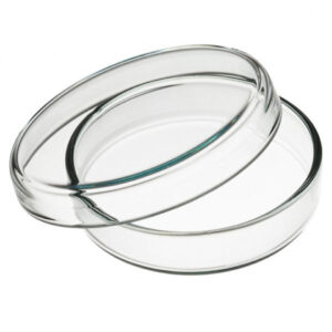Glass Petri Dish, 90mm, Borosilicate Glass, Each